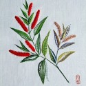 堤紀子作品：野の花
