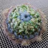 編み物体験レッスン作品 編み物体験レッスン作品